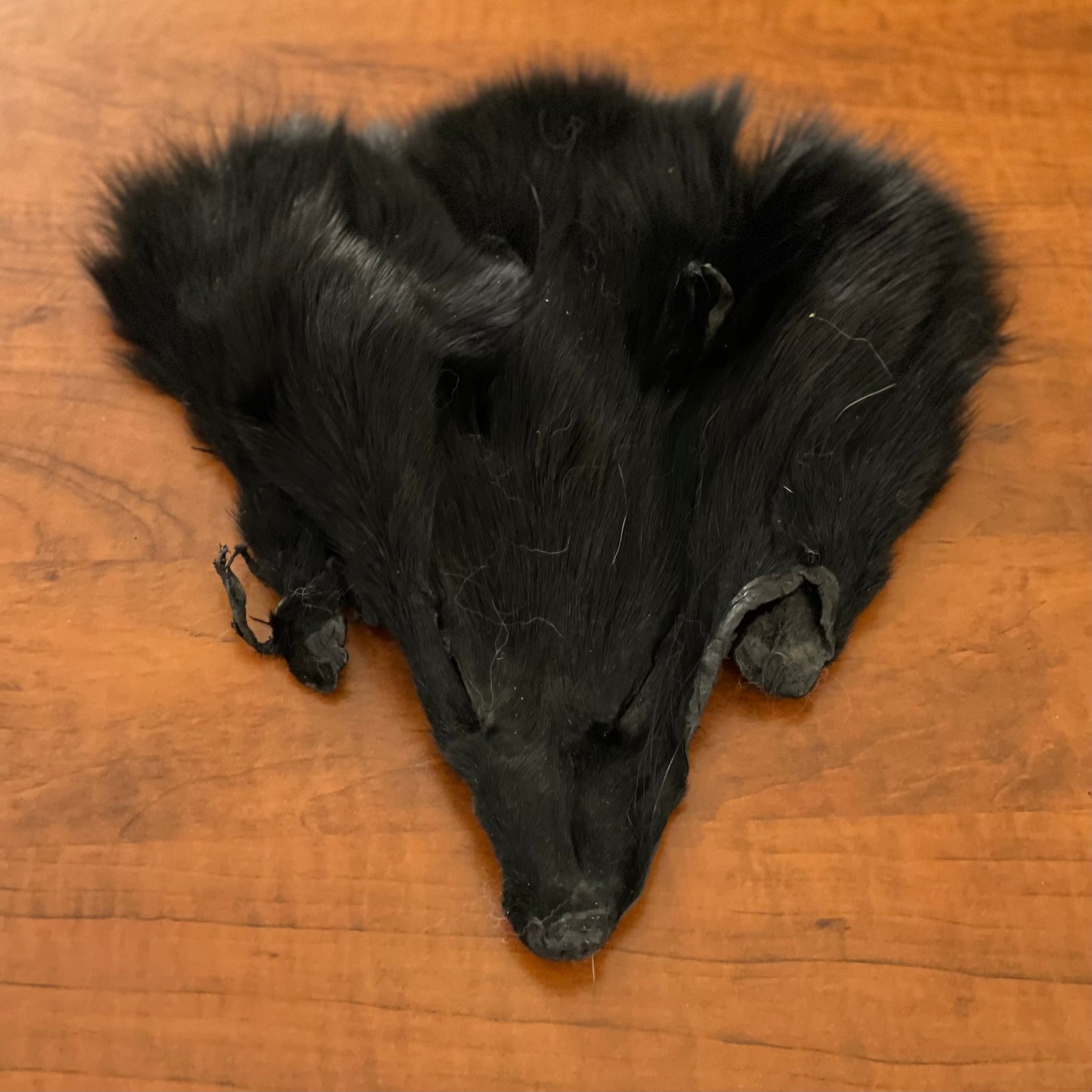 Black Fox face fur pelt