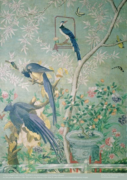 Audubon: A Pair Of Magpie Jays 500 Piece Puzzle