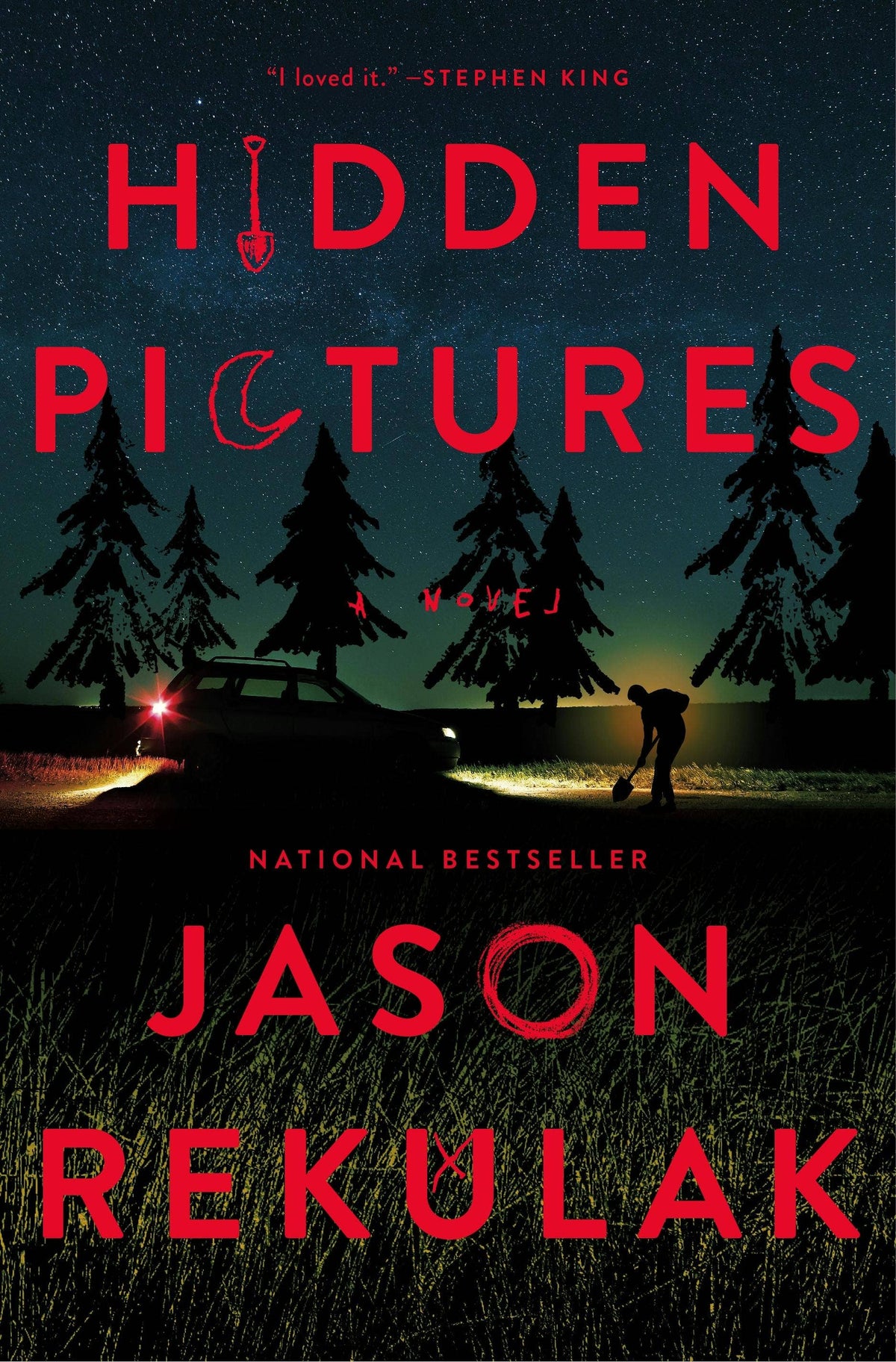 Hidden Pictures A Novel
