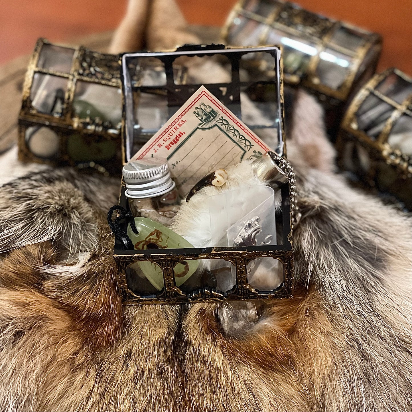 Oddities & Curiosities chest