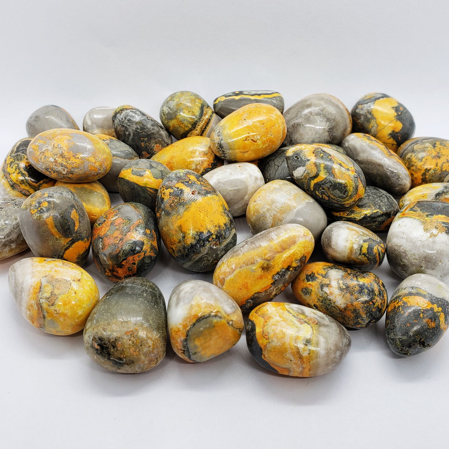 Bumblebee Jasper