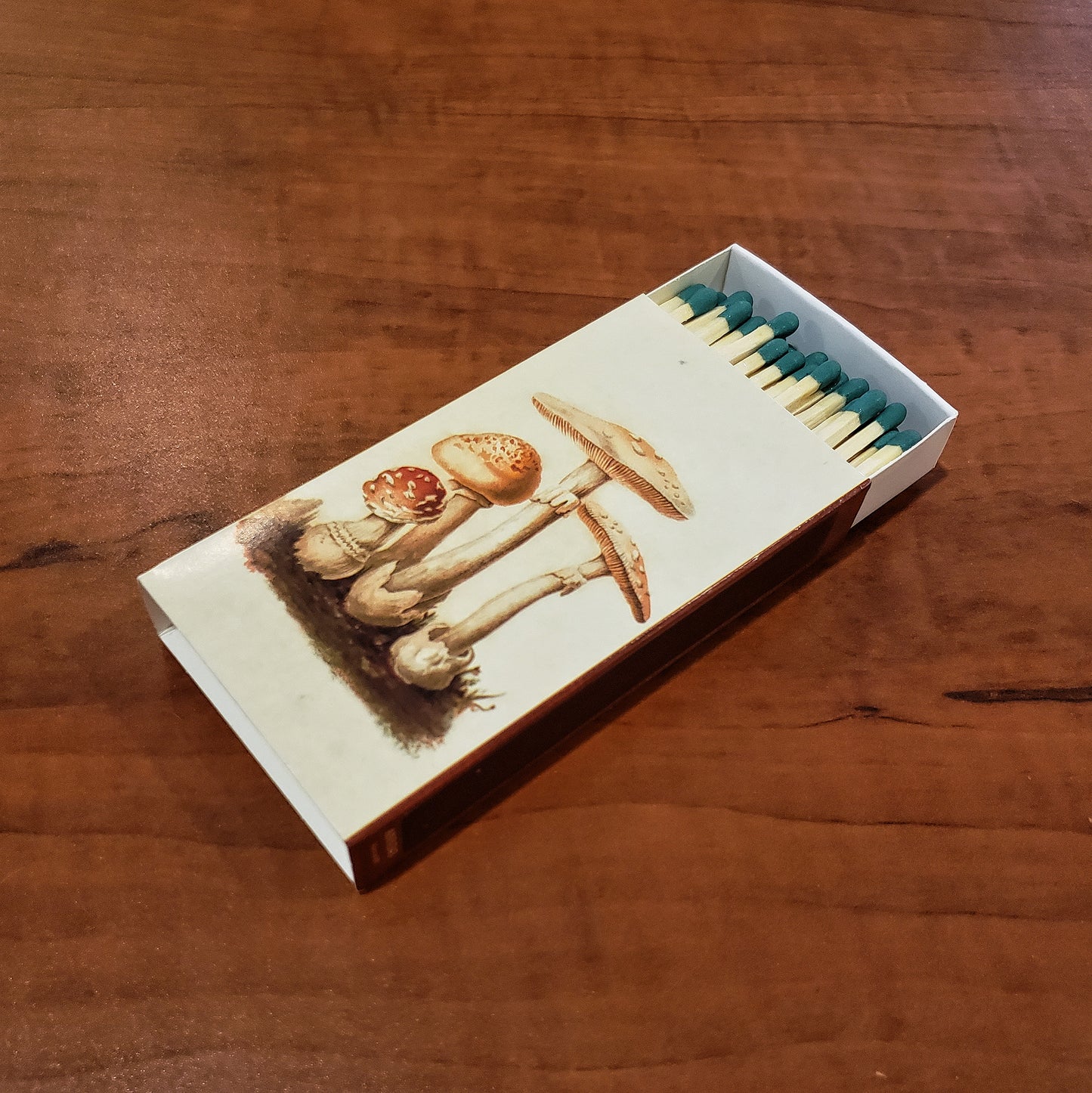 Mushroom box matches, 50 pc