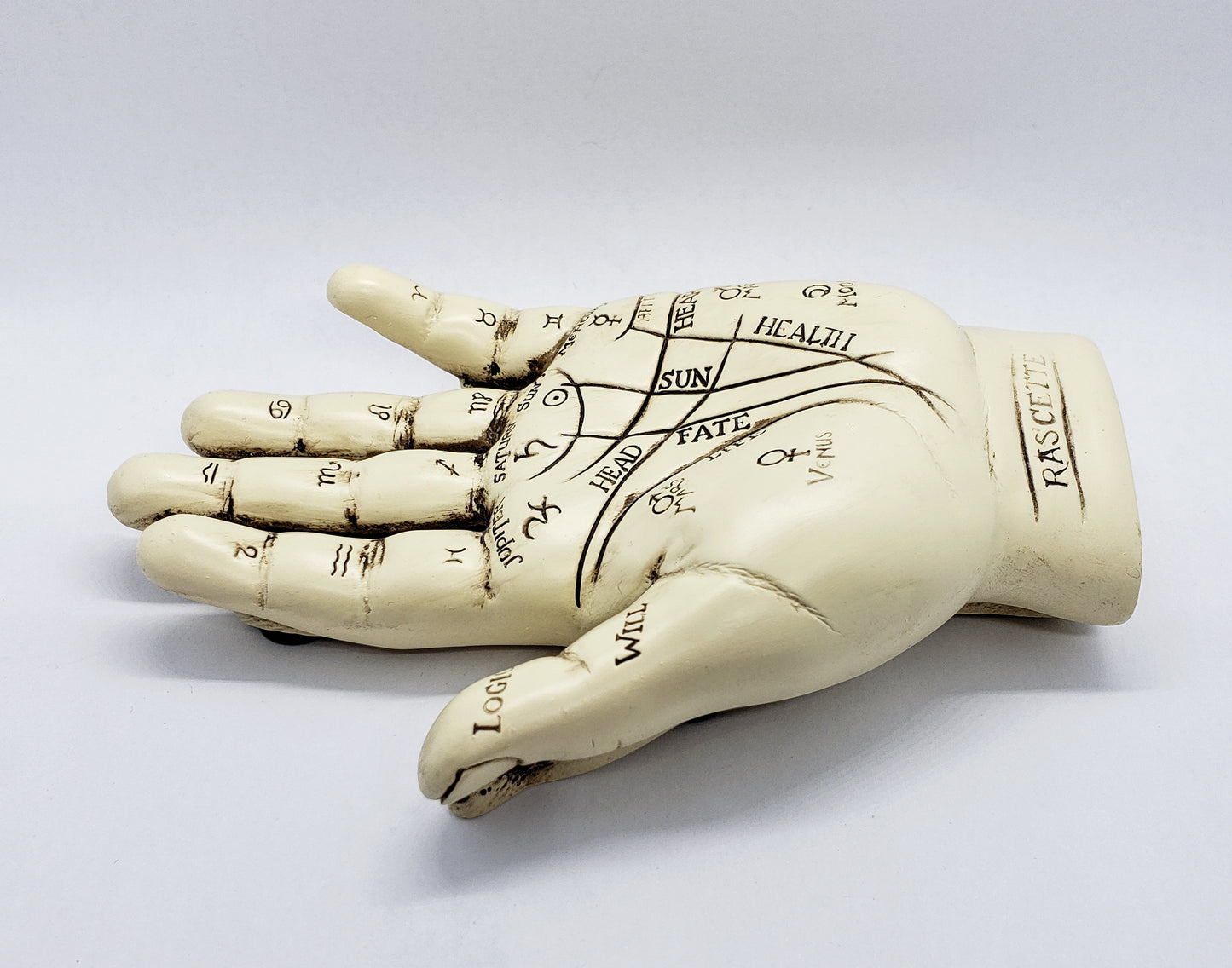 Palmistry hand