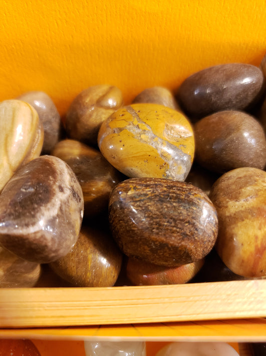 Petrified Wood