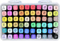 Dual-Tip Alcohol Markers (Set of 60 colors)