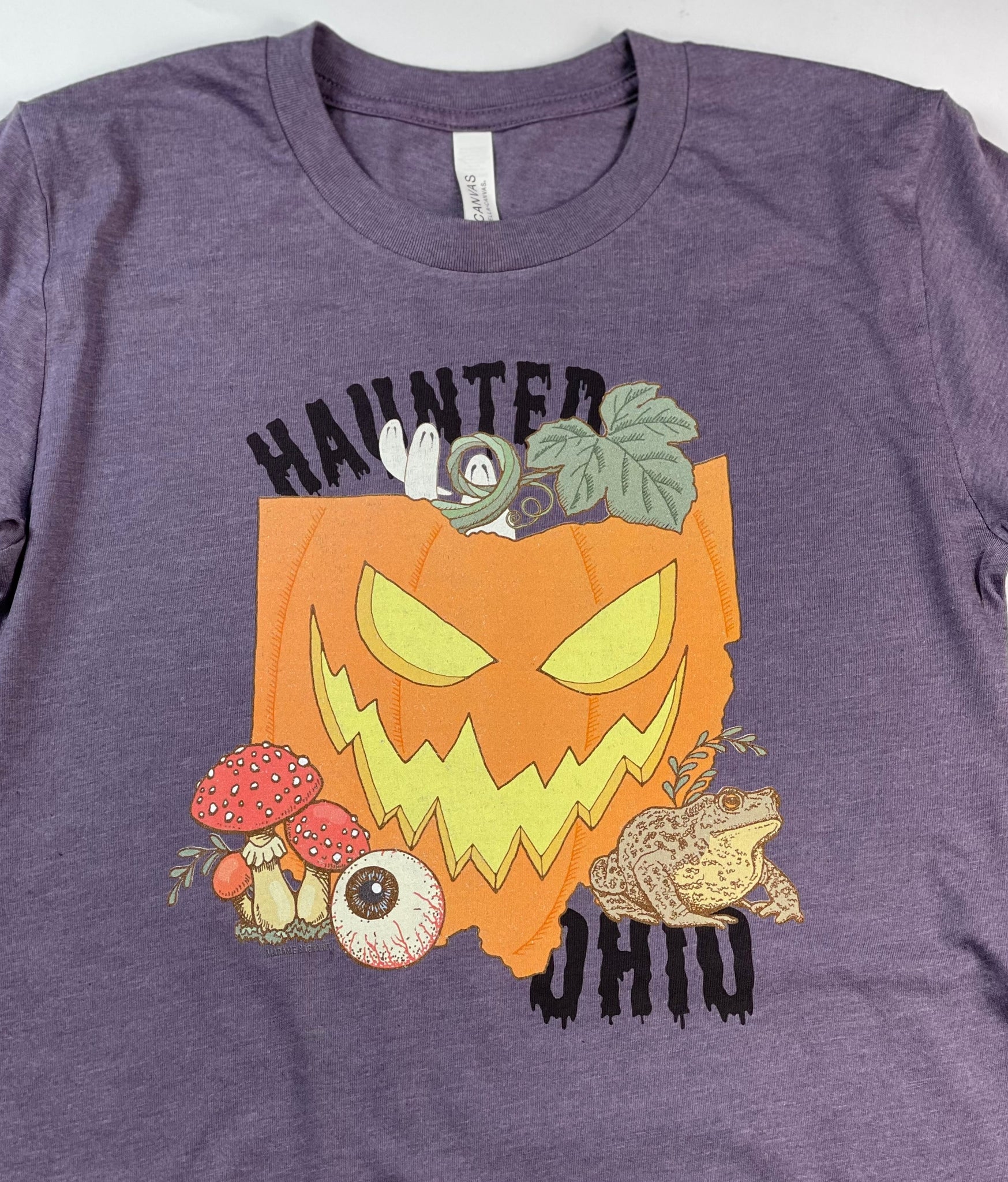 Haunted Ohio unisex purple tshirt