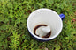 Frog creature cup