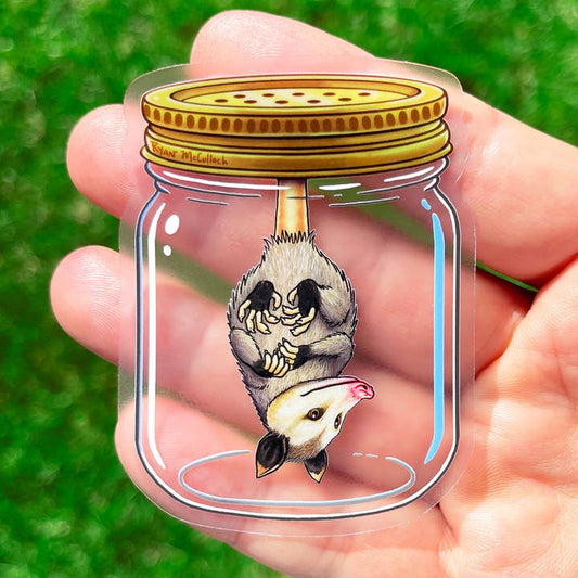 Opossum in jar Clear vinyl sticker