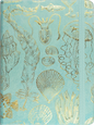 Sealife Sketches Journal