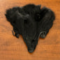 Black Fox face fur pelt