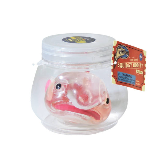 Toy fish in a clear jar with a label on a white background