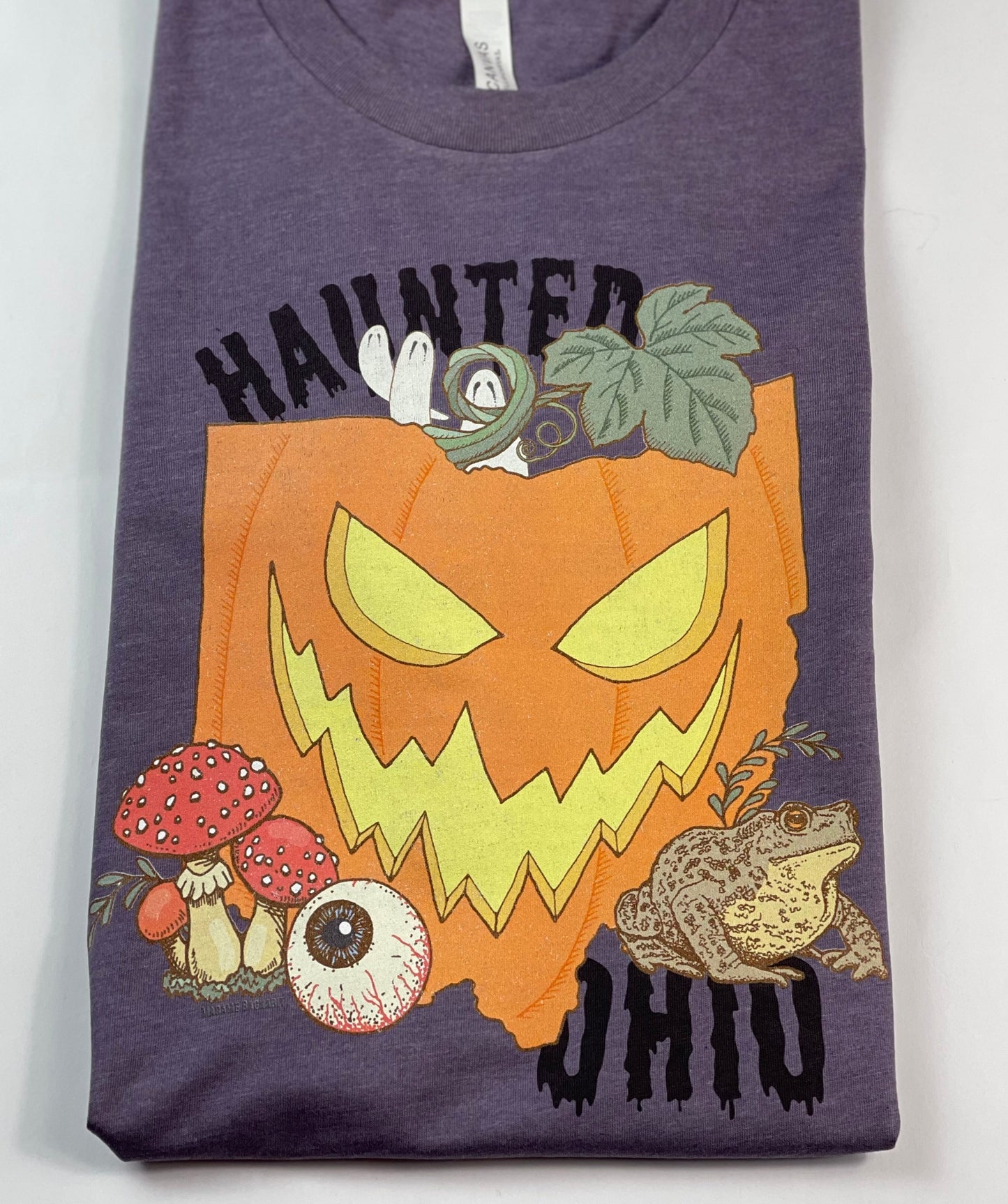 Haunted Ohio unisex purple tshirt