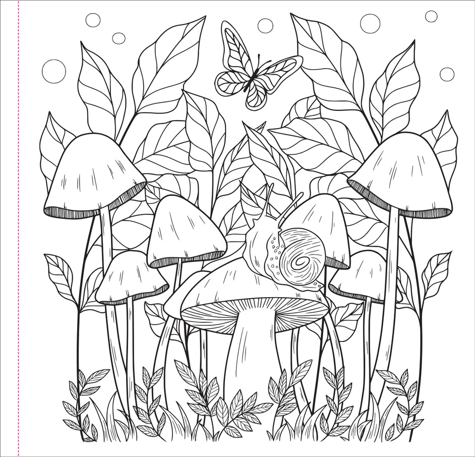 Mushrooms coloring book