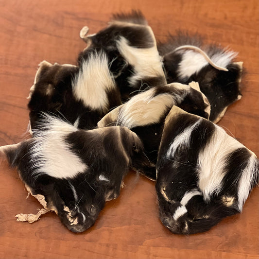 Skunk face fur pelt