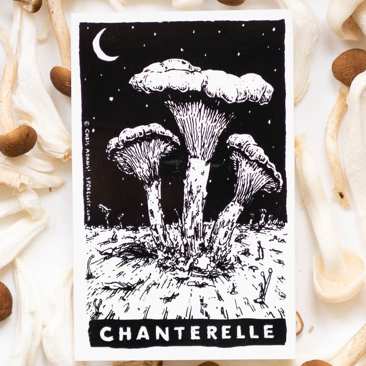 Illustration of chanterelle mushrooms on a black background with 'Chanterelle' text, surrounded by real mushrooms.