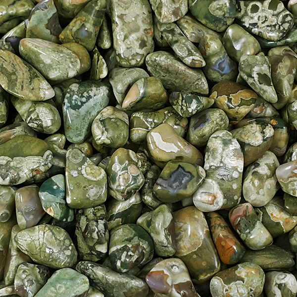 Rhyolite Rainforest