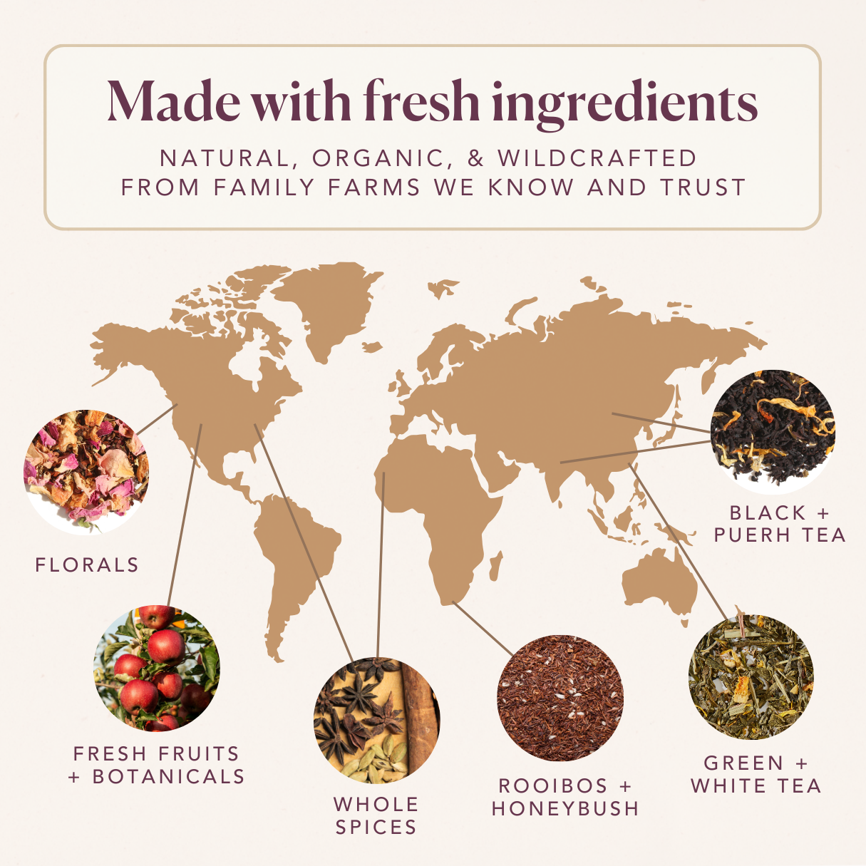 Loose Leaf Tea Sample Packs - Plum Deluxe