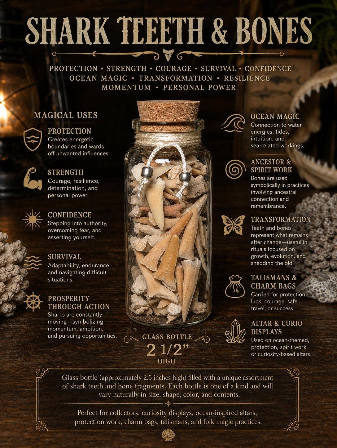 Shark Teeth & Bone Curio Bottle