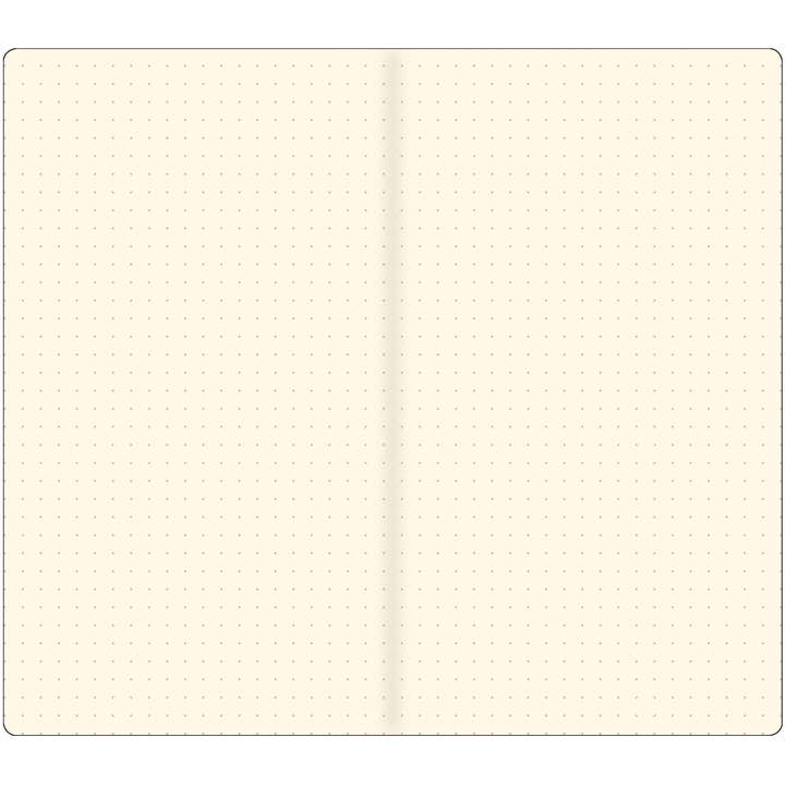 Voyager notebook 2-pack REFILLS