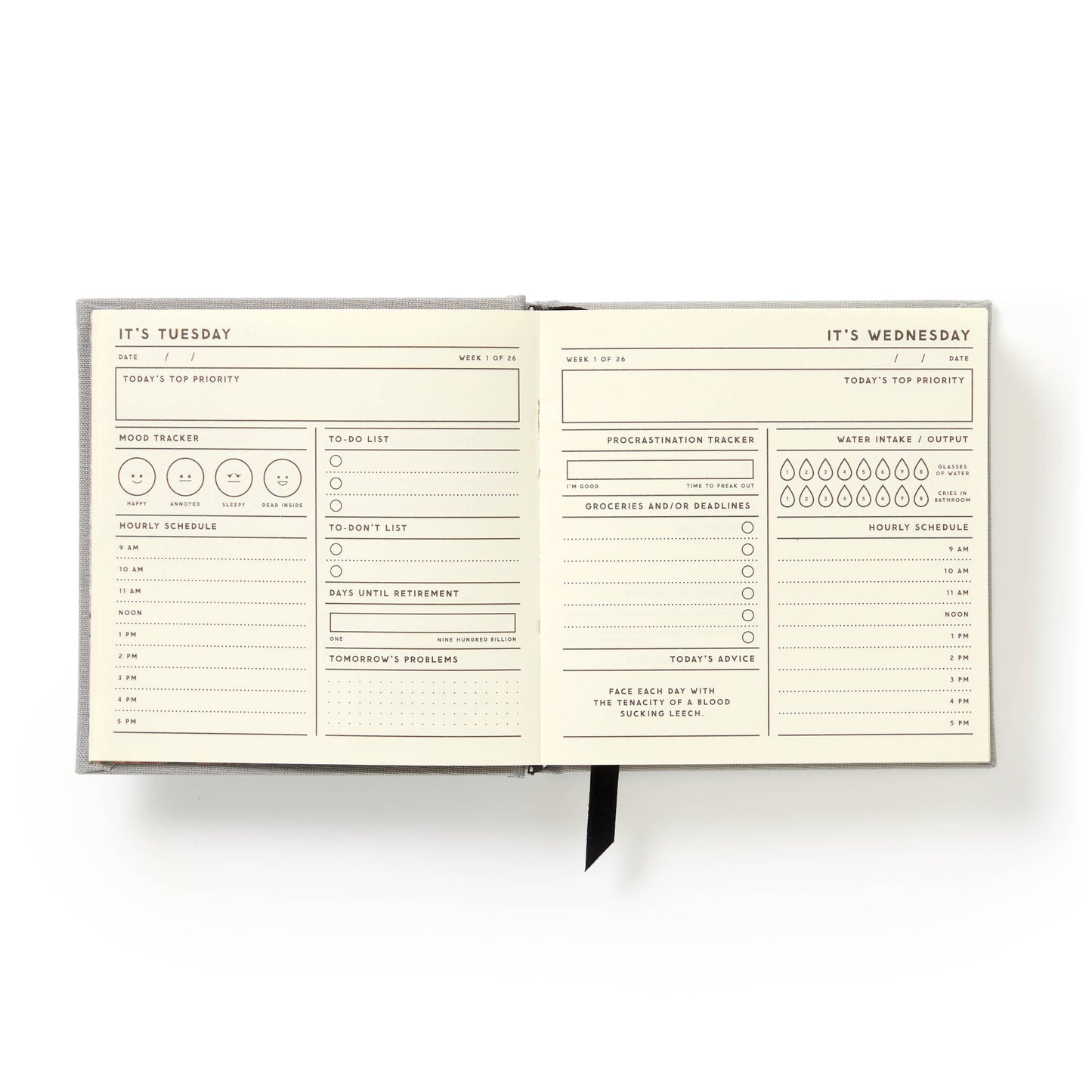 My Master Plan Productivity Guide journal planner