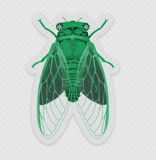 Cicada Stickers Matte
