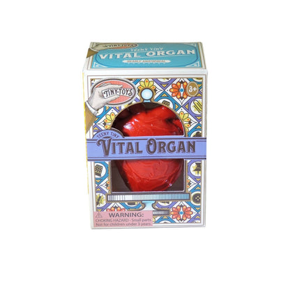 Red toy resembling a heart in a decorative box with 'Vital Organ' text on a white background