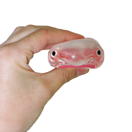 Itty Bitty Squidgy Oddity Blobfish