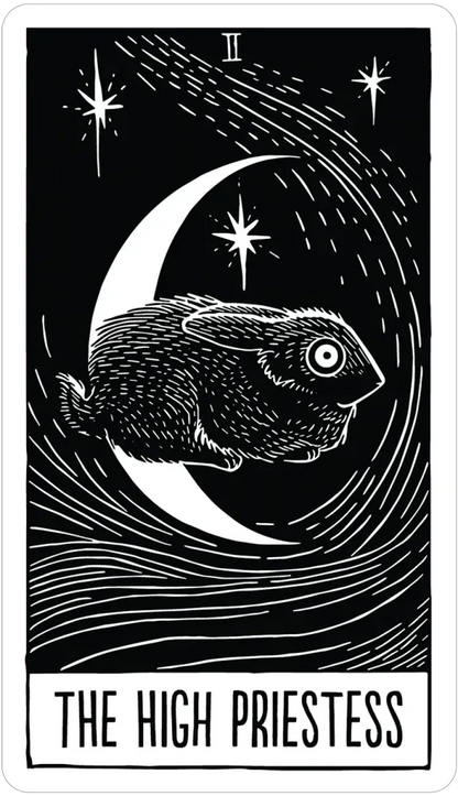 The Star String Tarot