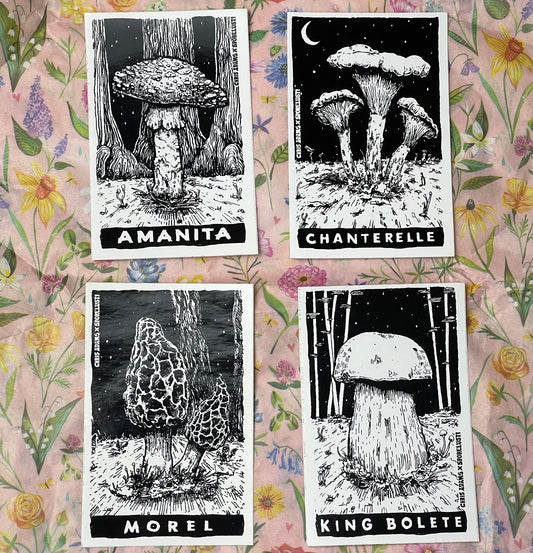 Tarot Mushroom vinyl stickers