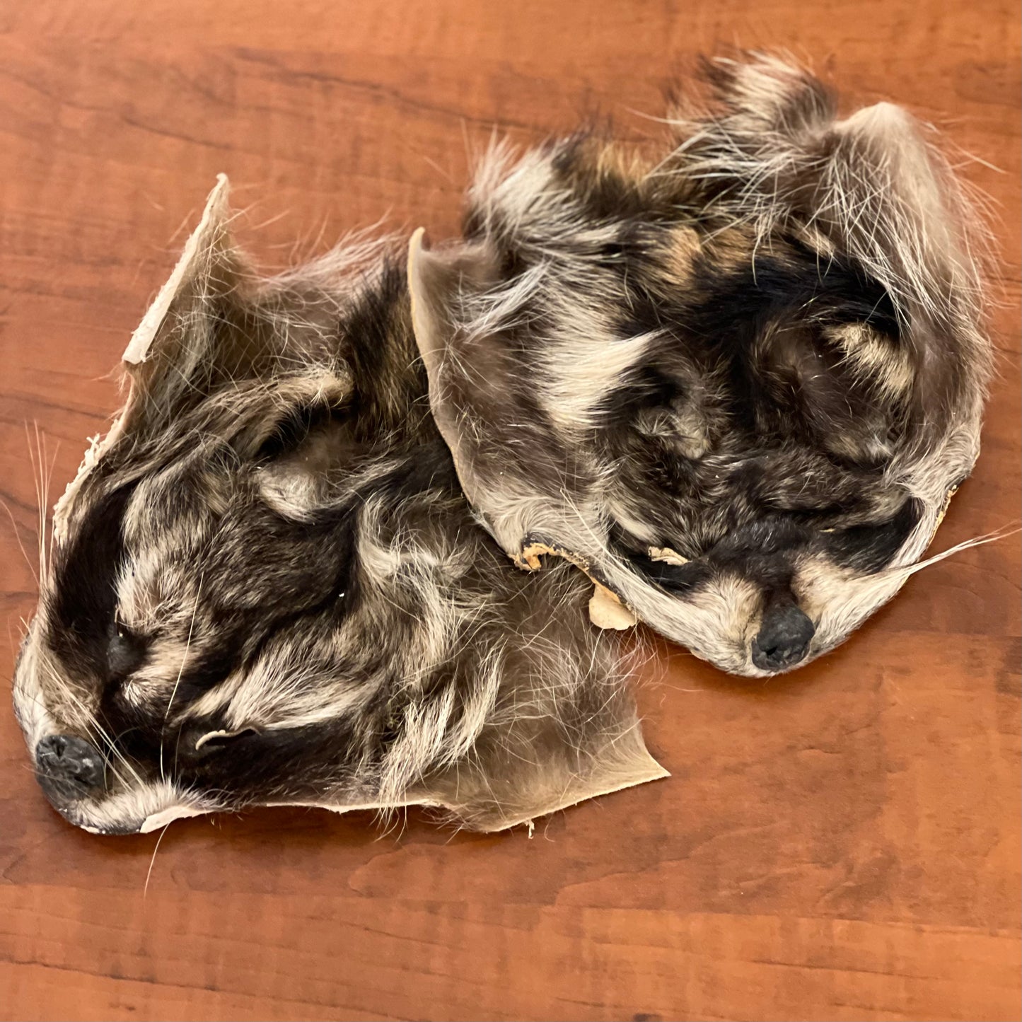 Raccoon face fur pelt