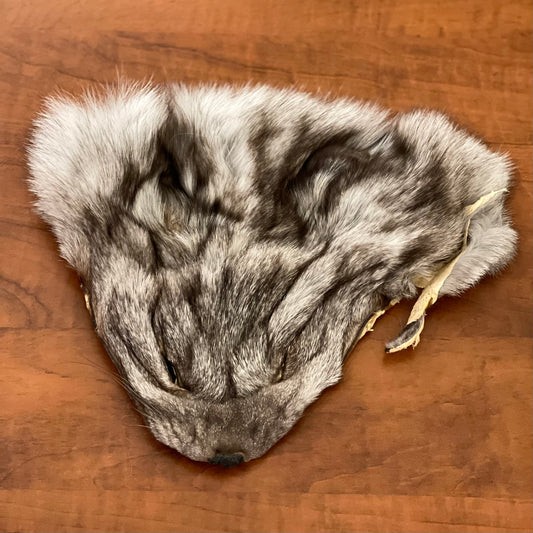 Blue Fox face fur pelt