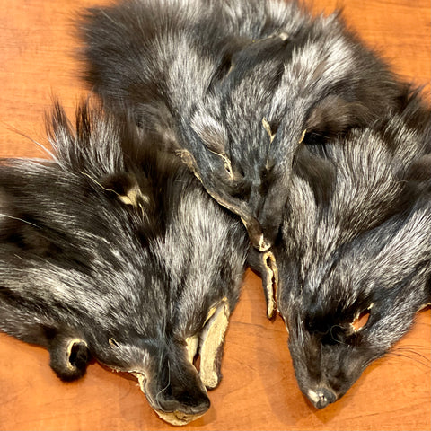 Silver Fox face fur pelt