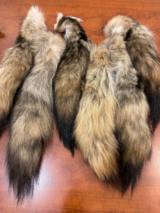 Coyote tail