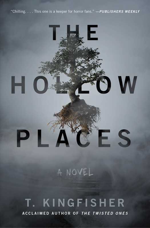 Hollow Places by T. Kingfisher