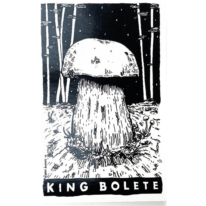 Illustration of a mushroom with 'King Bolete' text on a black background