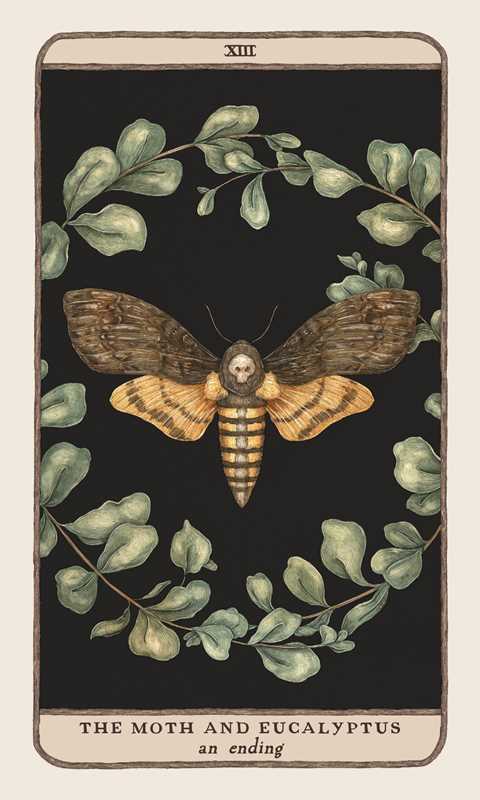 Woodland Wardens oracle deck