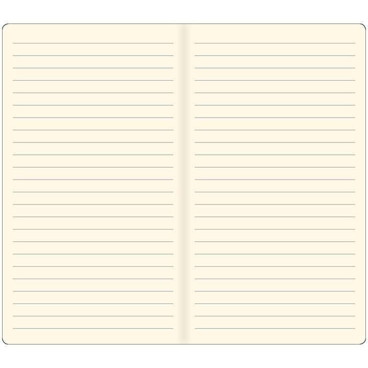 Voyager notebook 2-pack REFILLS