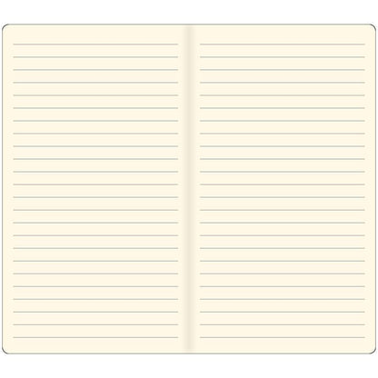 Voyager notebook 2-pack REFILLS