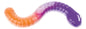 Jumbo Slimy Worm Stretchy Squishy Toy
