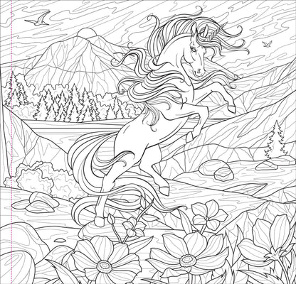 Enchanted Kingdom Adult Coloring Book