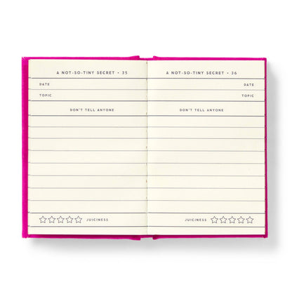 Tiny Diary for Not So Tiny Secrets
