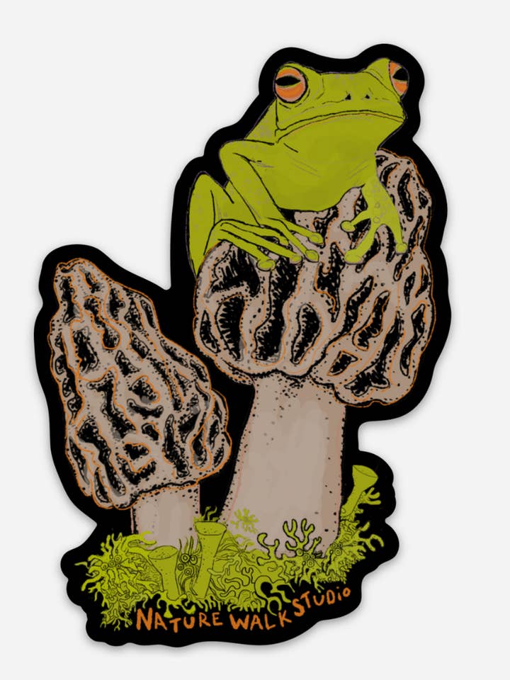 Frog on Morel sticker