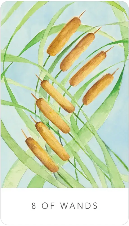 Black Seed Tarot