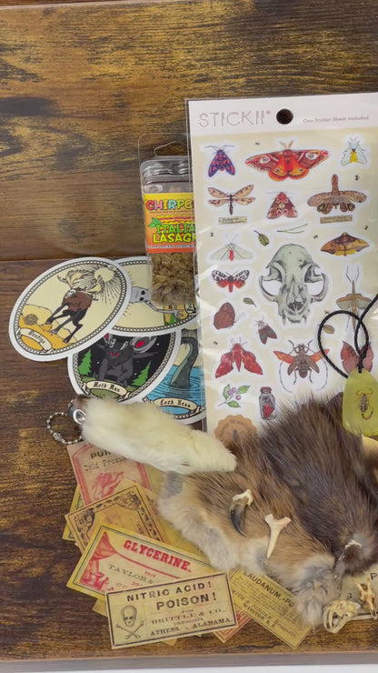 Mystery oddities box set