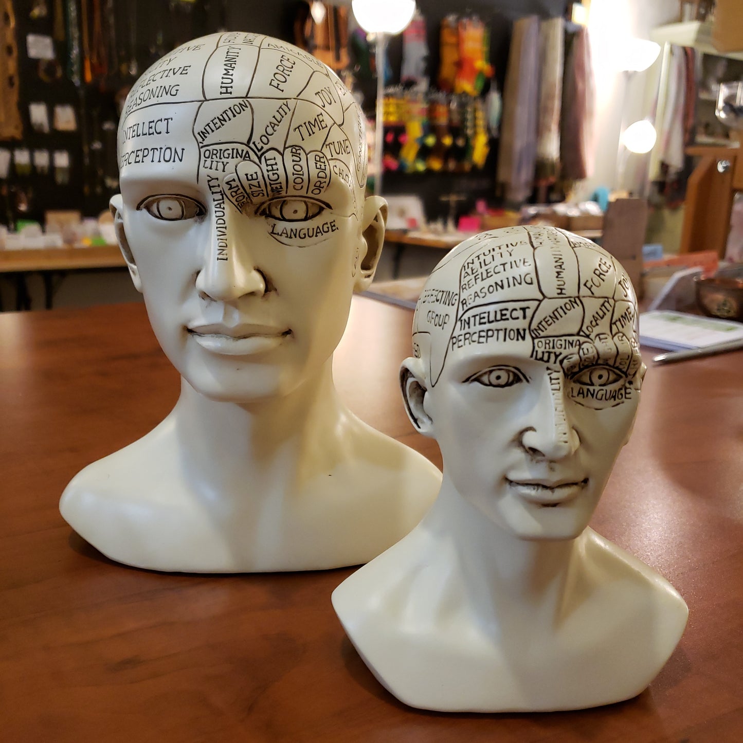 Phrenology head