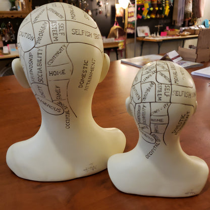 Phrenology head