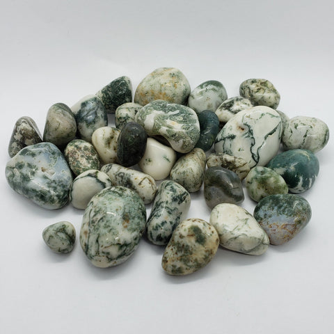 Tree Agate