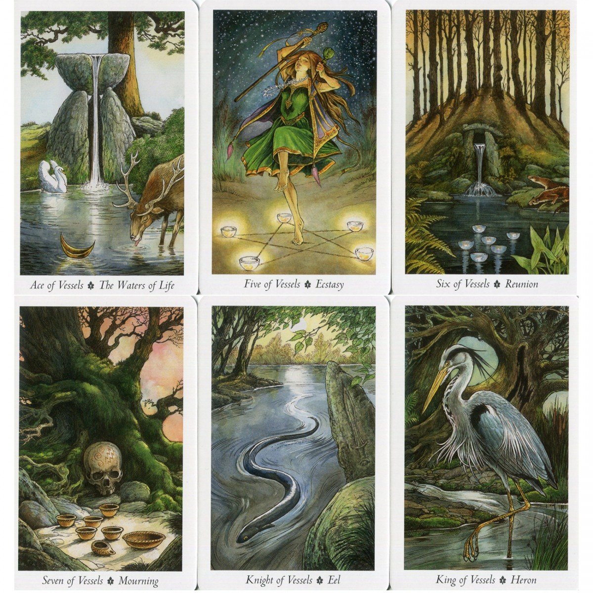 The Wildwood Tarot