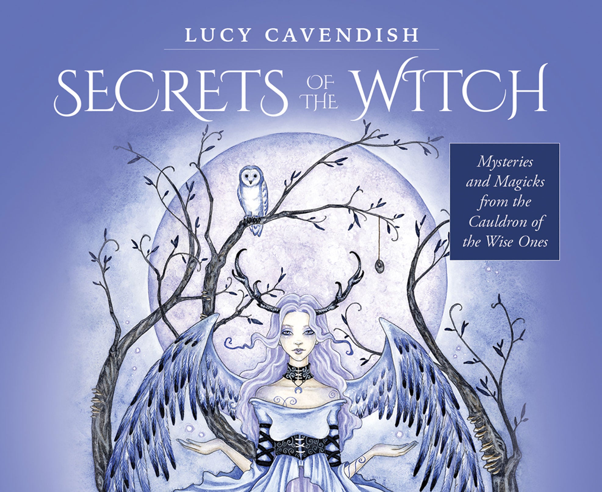 Secrets of the Witch Oracle Cards