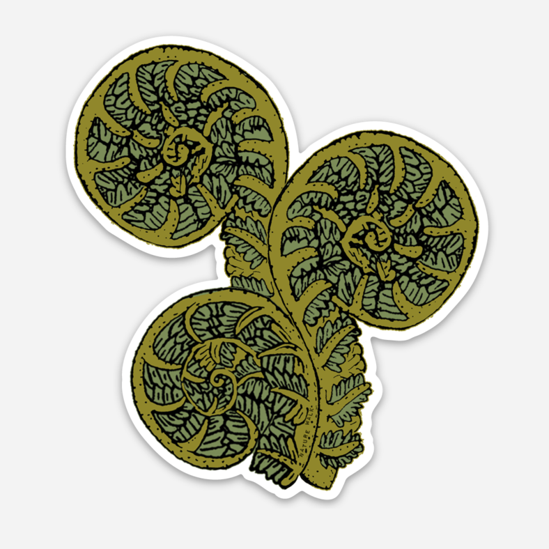 Fiddlehead Fern sticker